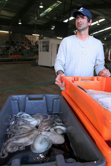 autor: Sofia Quintas