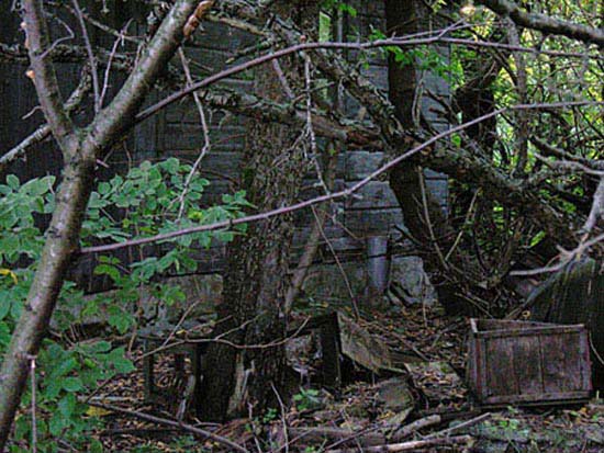 autor: Alain-Gilles Bastide