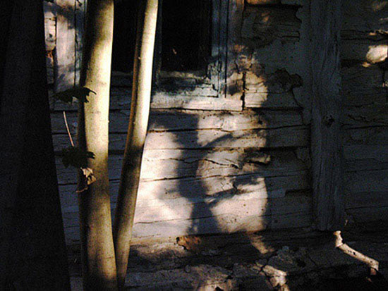 auteur : Alain-Gilles Bastide                    