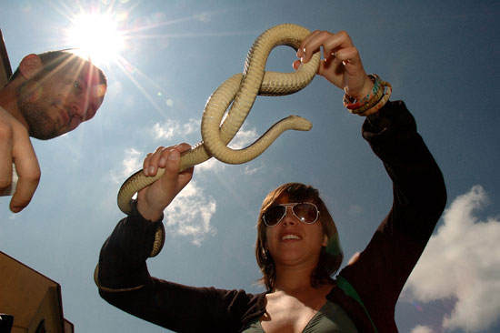 auteur: Patricia Moreira