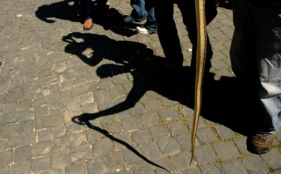 auteur: Patricia Moreira