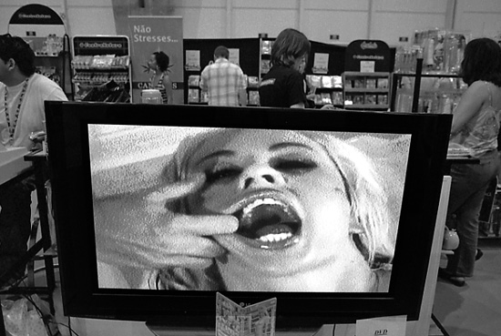 author: Manuel Luís Cochofel