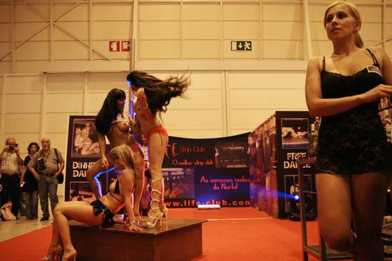 auteur : Sofia Quintas                    