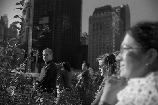 autor: Manuel Luís Cochofel