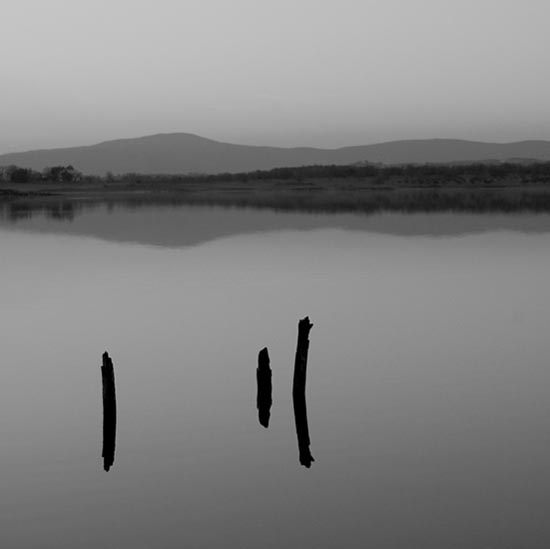 autor: Carlos Matos
t&iacute;tulo: estruturas&coberturas VII