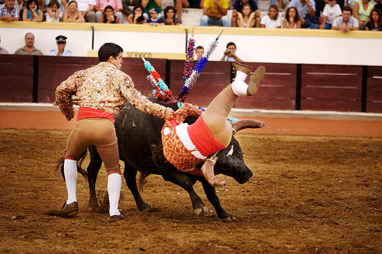 author: Joost De Raeymaeker