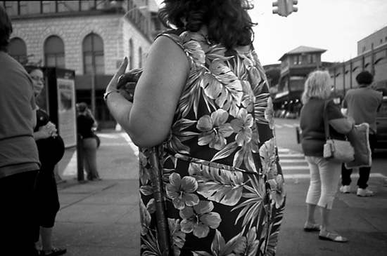 autor: Manuel Luís Cochofel