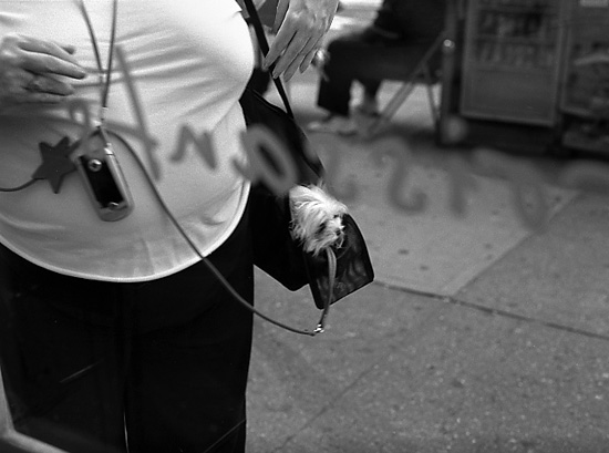 autor: Manuel Luís Cochofel