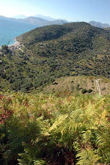 autor: Yves Rousselet
t&iacute;tulo: Paysage de la riviera albanaise