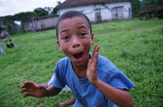 autor: Tânia Araújo