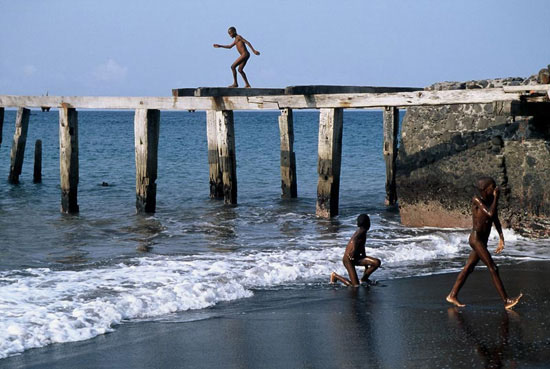 autor: Tânia Araújo