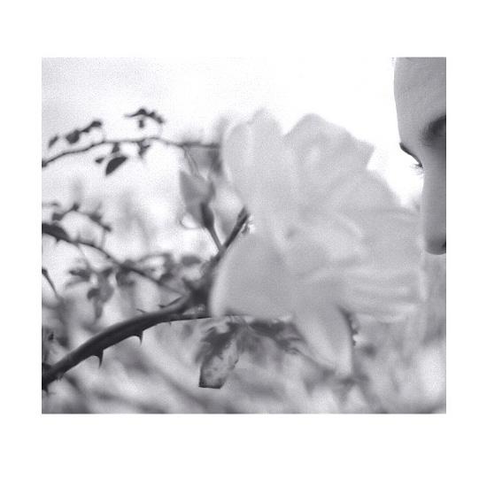 autor: Fernando Gabriel