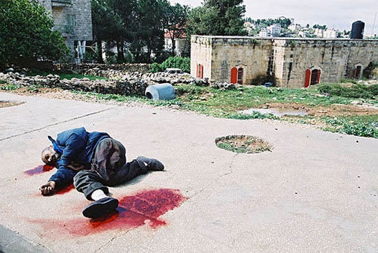 autor: Damien Lafargue