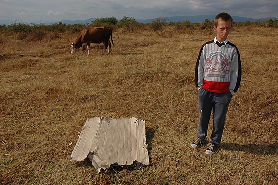 autor: Yves Rousselet
t&iacute;tulo: Jeune gardien de vaches