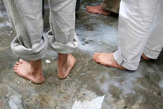 autor: Sofia Quintas