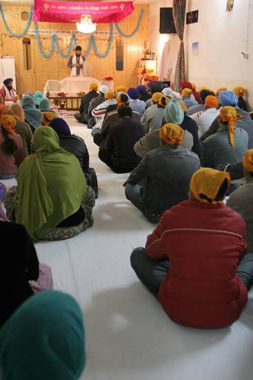 autor: Sofia Quintas