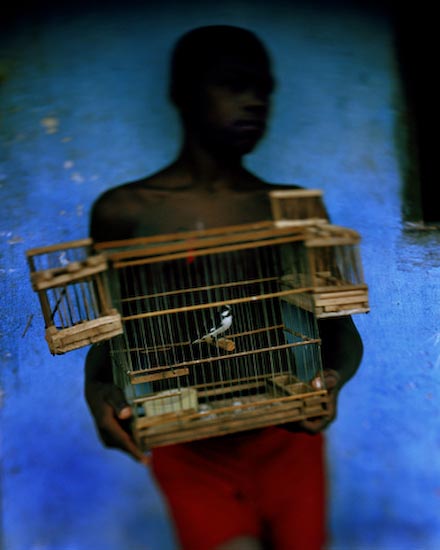 autor : Cláudio Edinger                    