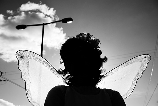 autor: António Luís Campos