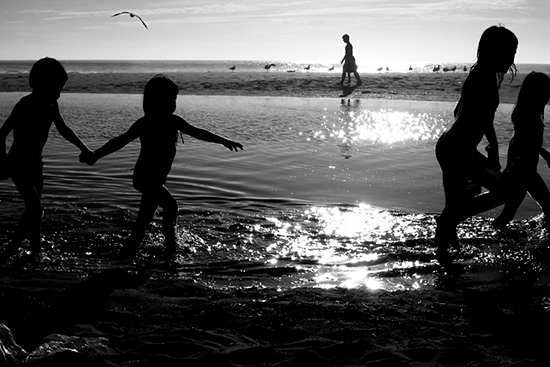 autor : António Luís Campos                    