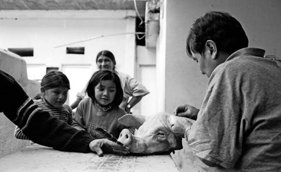 autor: Txomin  Txueka