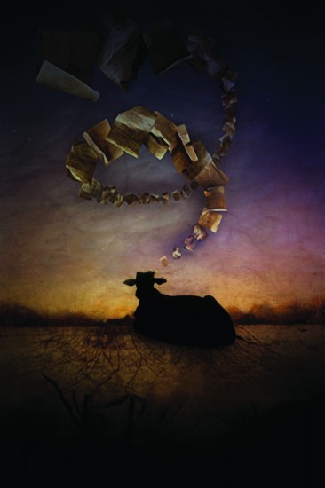 autor: Ângela M. Ferreira