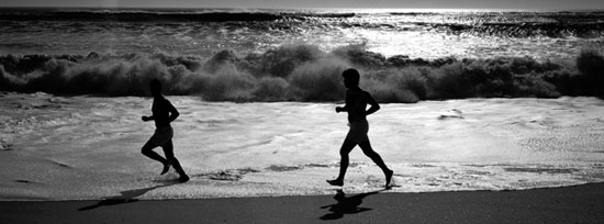 auteur : Luísa Ferreira                    