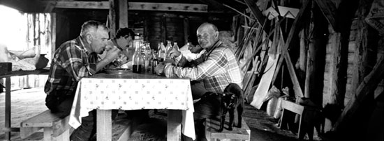 autor: Luísa Ferreira