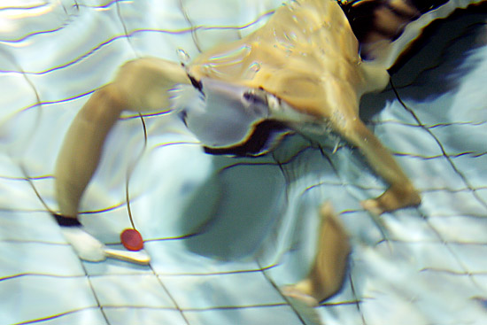 autor: Rodrigo Cabrita
t&iacute;tulo: Hóquei Subaquático