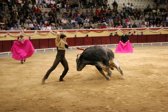 autor: Sofia Quintas