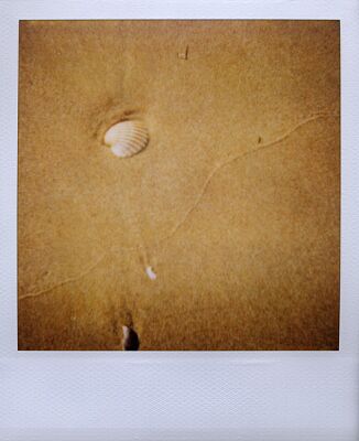 author : Sofia Quintas                    title: #3