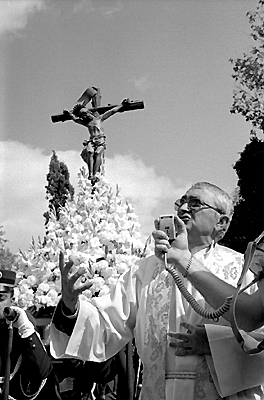 auteur: Sofia Quintas