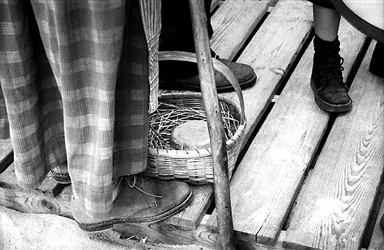 auteur : Sofia Quintas                    