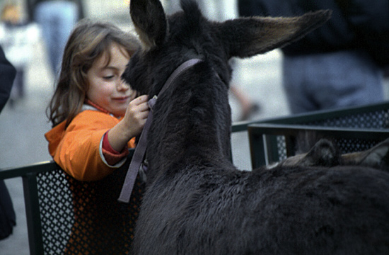 autor: paulo rodrigues