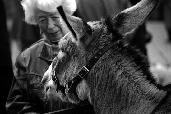 autor: paulo rodrigues