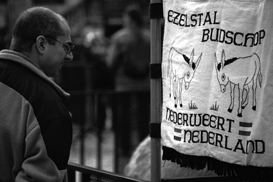 autor: paulo rodrigues