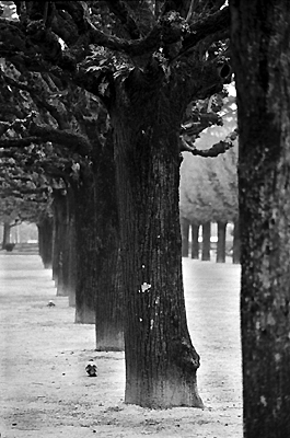 autor: Sofia Quintas