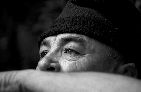 author : Sofia Quintas                    