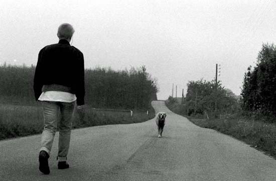 autor: Daniel Navarro