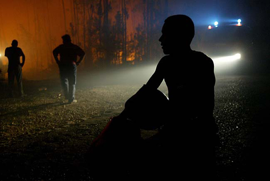 autor: João  Carvalho Pina