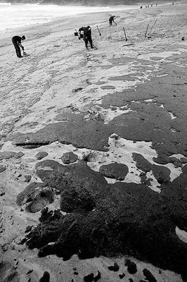 autor: João  Carvalho Pina