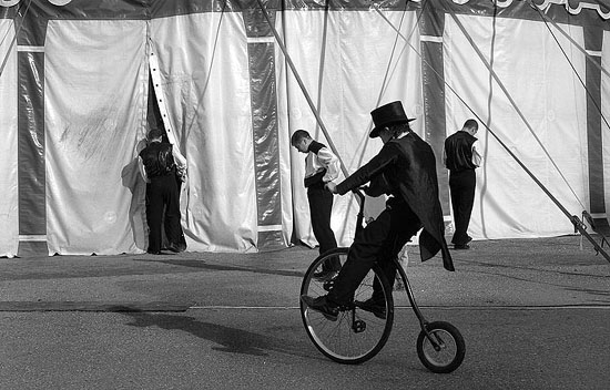 autor: Daniel Navarro