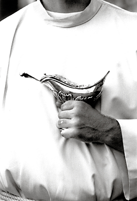 autor: José Gonçalves
t&iacute;tulo: Procissão Nª Sª Monte