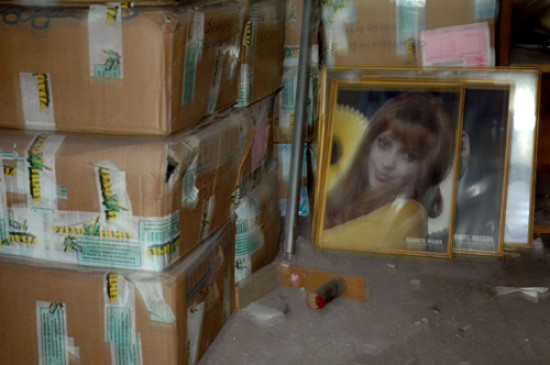 autor: Ana Pereira
t&iacute;tulo: Júlio Diniz