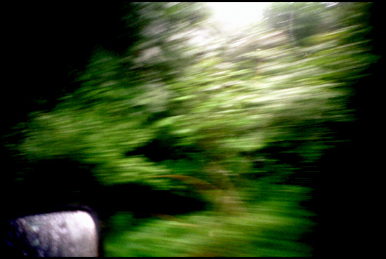 autor: Paula Alves
t&iacute;tulo: [ ... ]