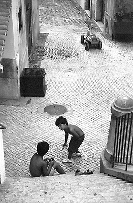 autor: Sofia Quintas