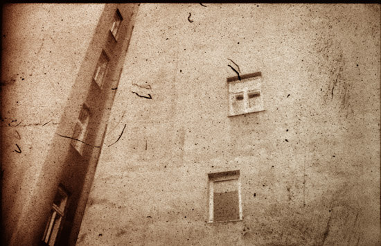 autor: Zosia Zija
t&iacute;tulo: 8.