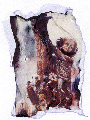 autor: José Gonçalves