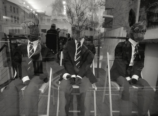 autor: Manuel Luís Cochofel