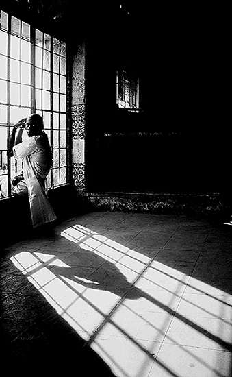 autor: José Silva Pinto
t&iacute;tulo: Momentos...