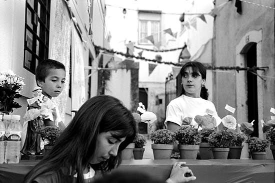 autor: Sofia Quintas